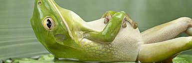 Natureman007's profile banner image