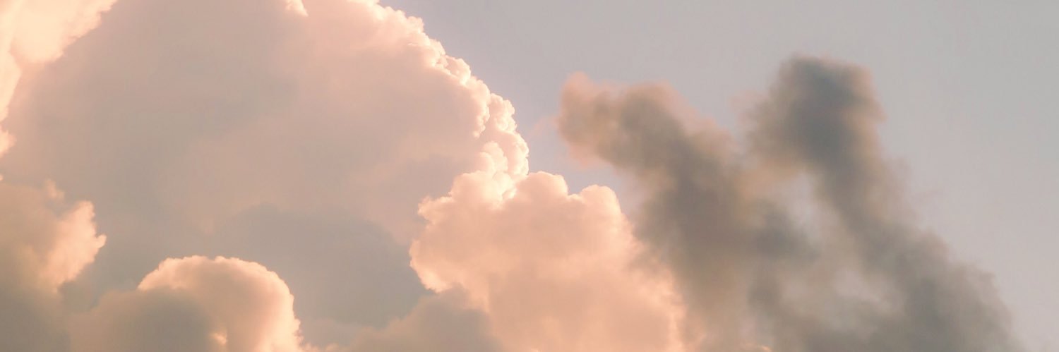 DaiseyJoy's profile banner image