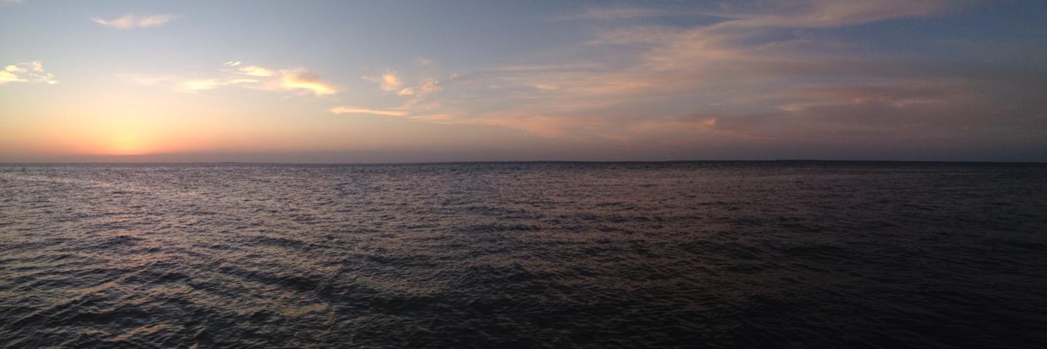acdellacamera's profile banner image