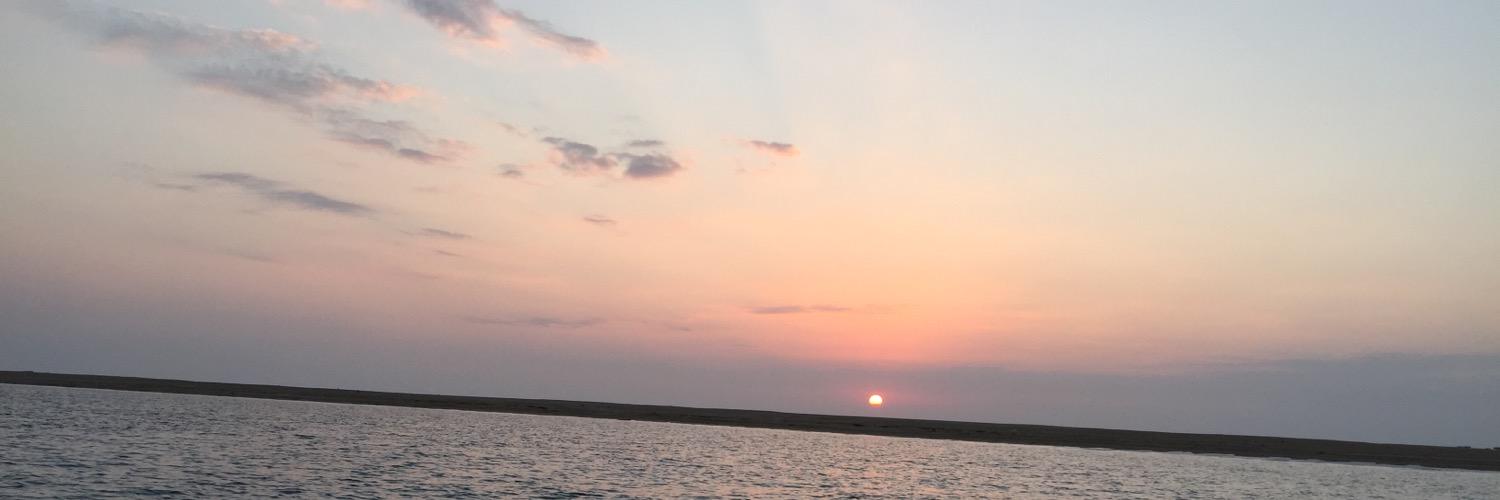 WSahafi's profile banner image