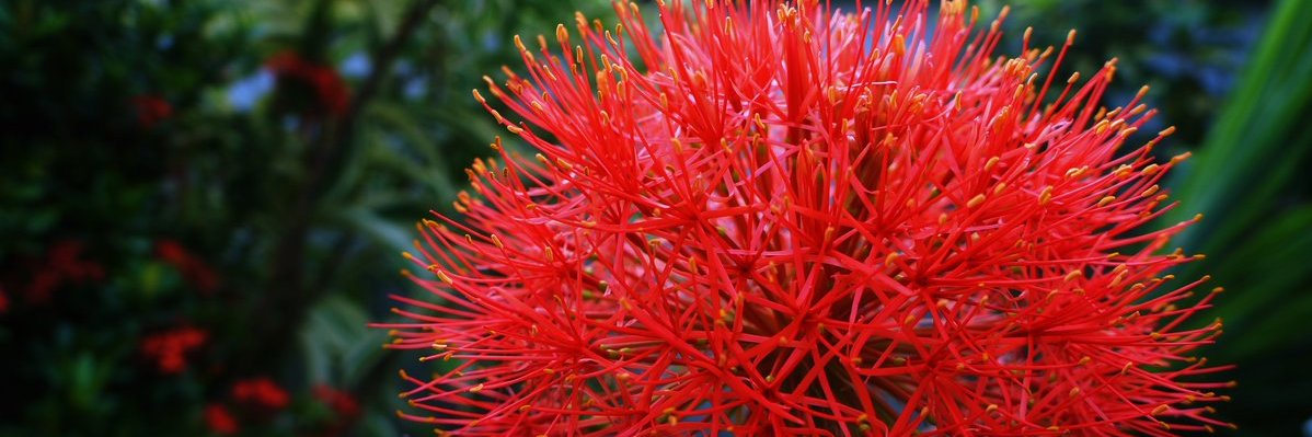 am_rotul's profile banner image