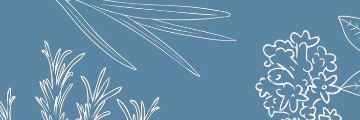 xDelicateMuse's profile banner image