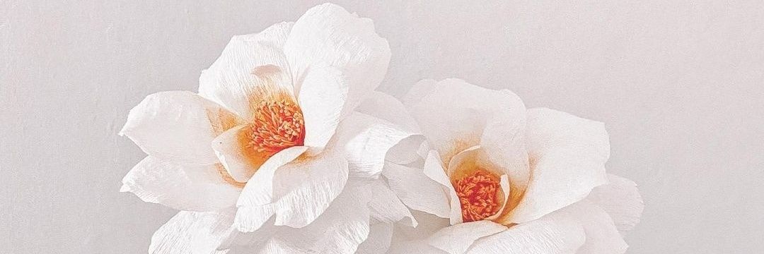 Nabelatullaili's profile banner image