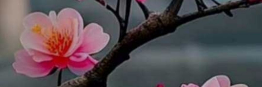 BinduVasudev's profile banner image
