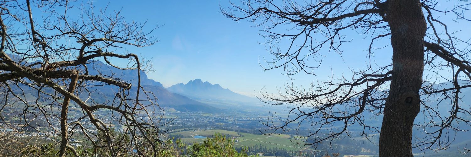 Sami Sins 🎐🧧 banner