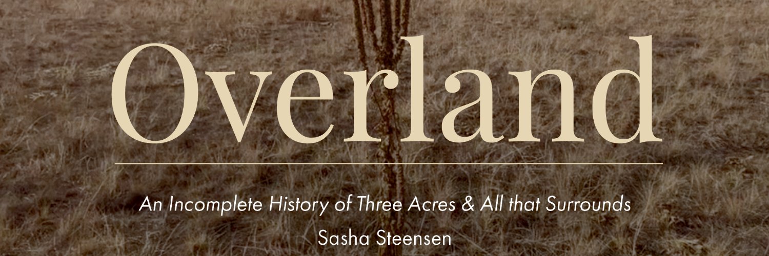 sasha steensen banner