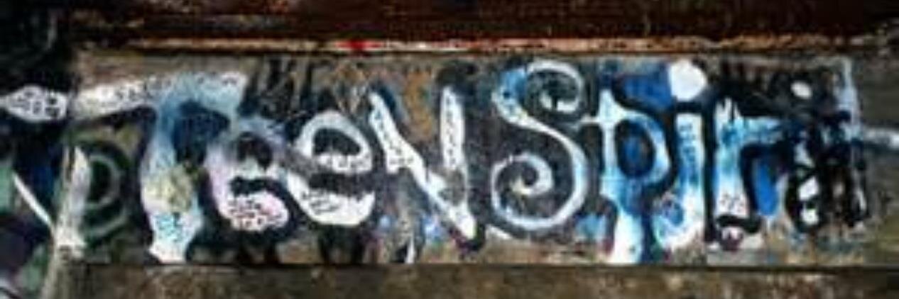 Elizabeth JVR banner