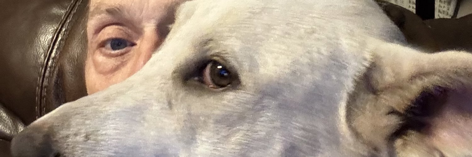 urtaint's profile banner image