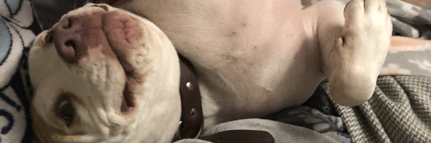 TheLongShon's profile banner image