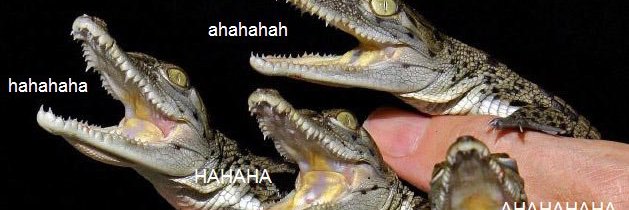 ohtamah's profile banner image