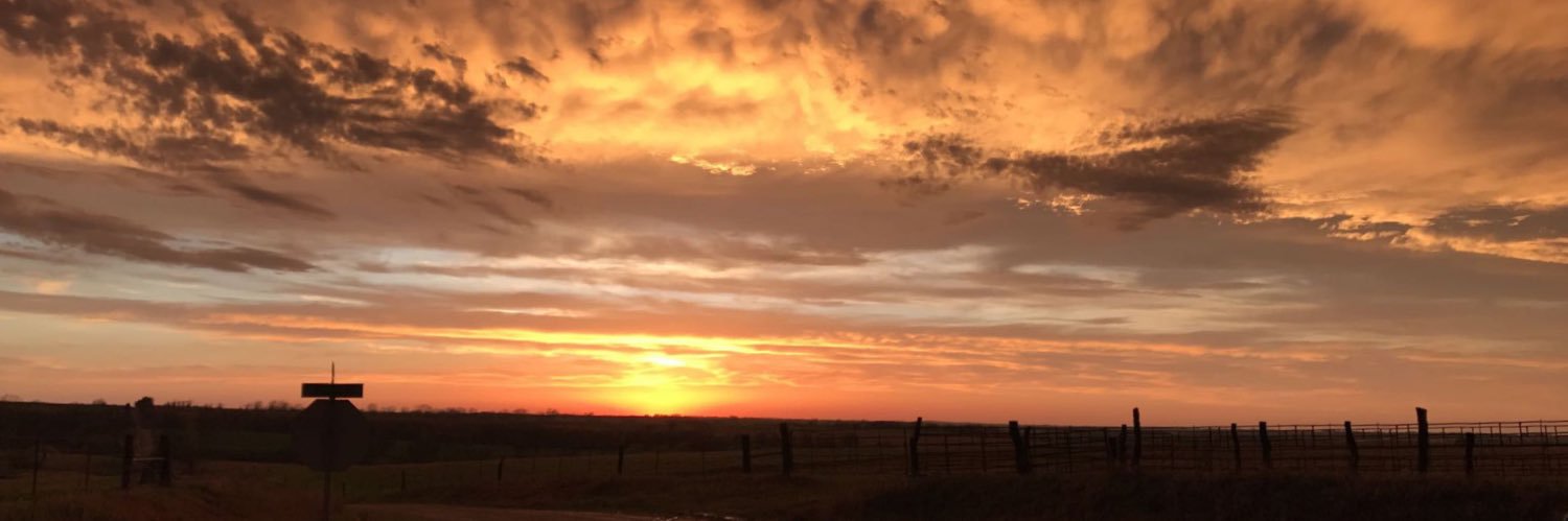 D_HUMP42's profile banner image