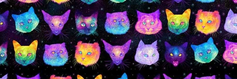 bryonyblake's profile banner image