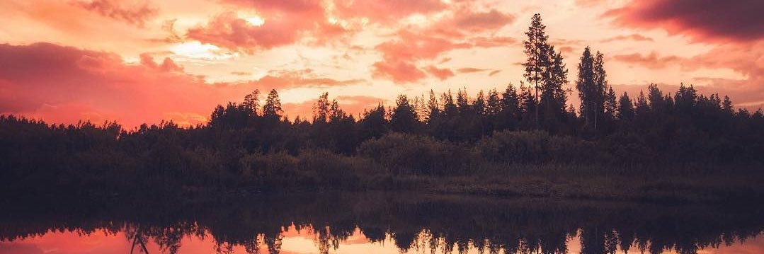 BryliMargret's profile banner image