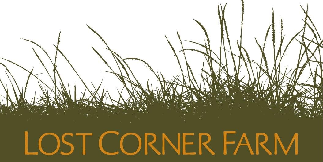LostCornerFarm's profile banner image