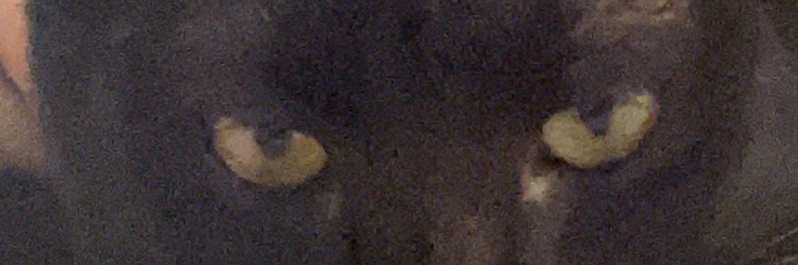 Riley banner