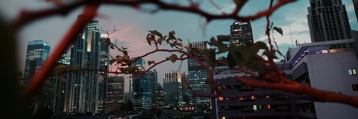 Dianenem's profile banner image