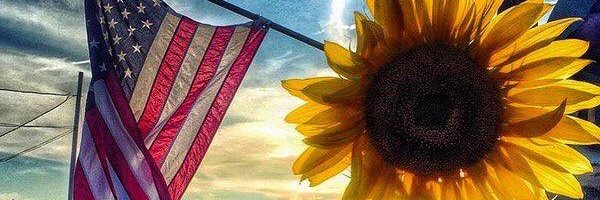 LeeHartman's profile banner image
