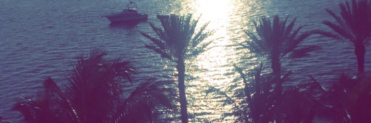 TaylorChaseD's profile banner image