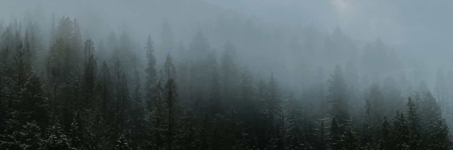 Tan banner