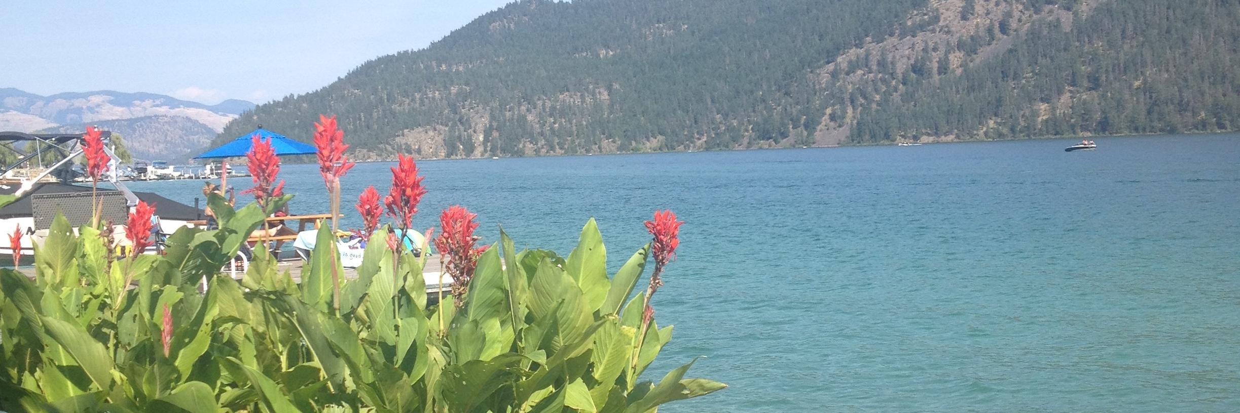 Brea Retzlaff banner