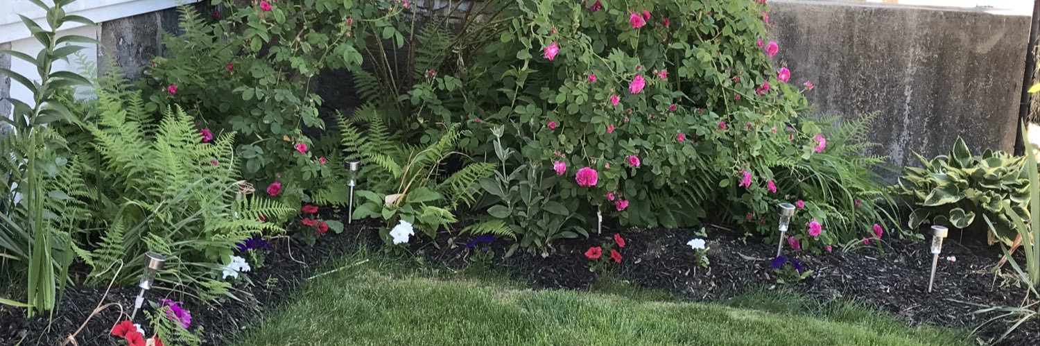 jittygurl's profile banner image