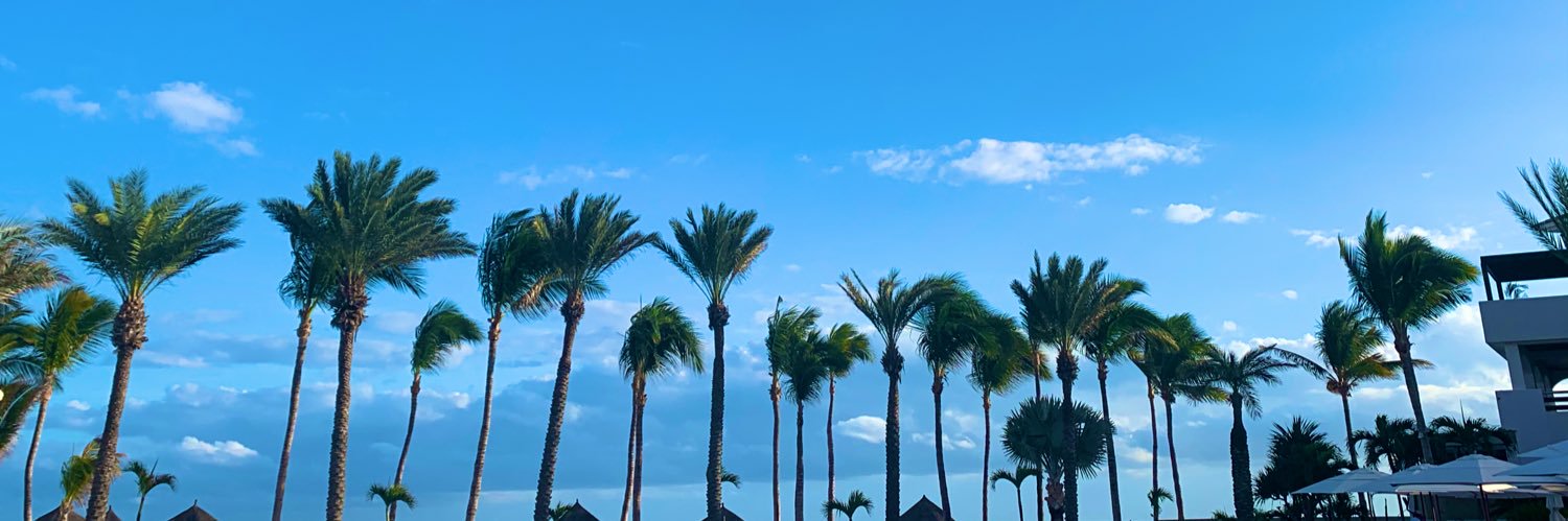 AleeMurray's profile banner image