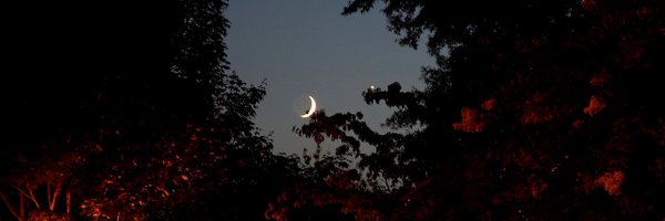 NIGHTSIFY Profile Banner