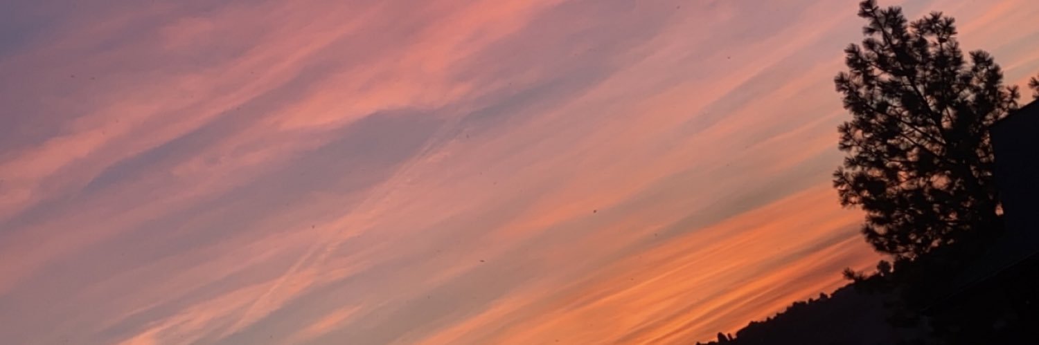 jaydensewell_'s profile banner image