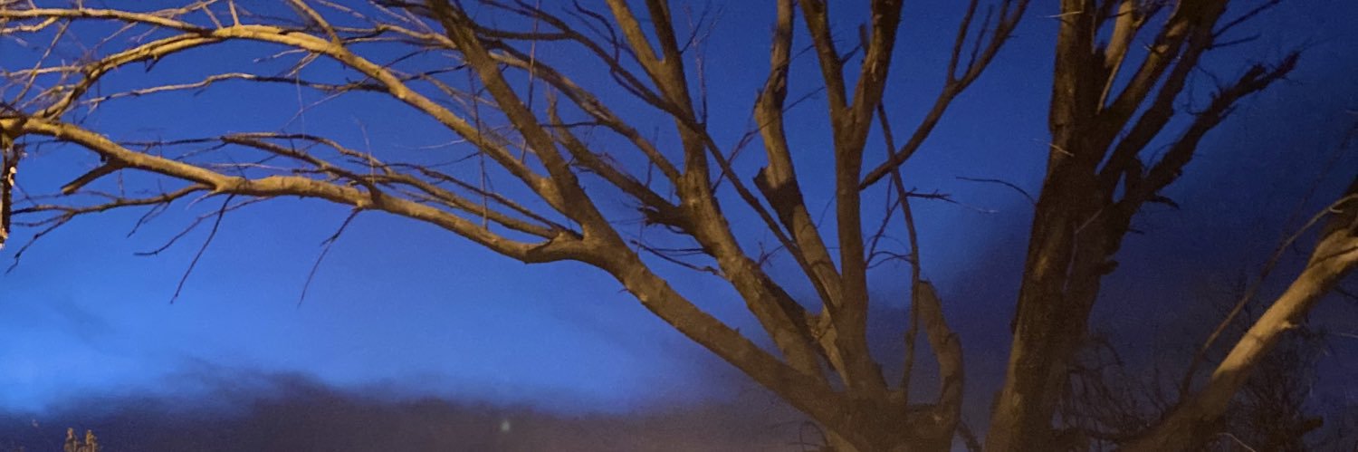 glover_ashlie's profile banner image