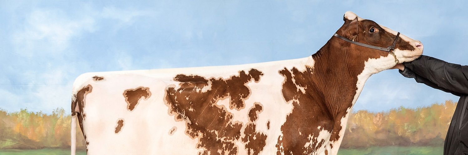 gw_sebright's profile banner image