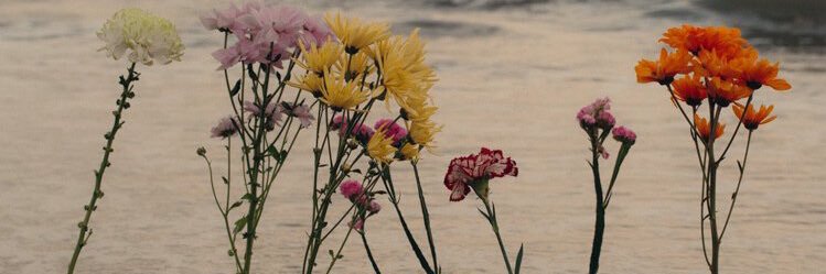 nellydze's profile banner image