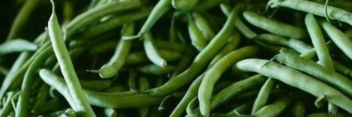 Richard Longfellow banner