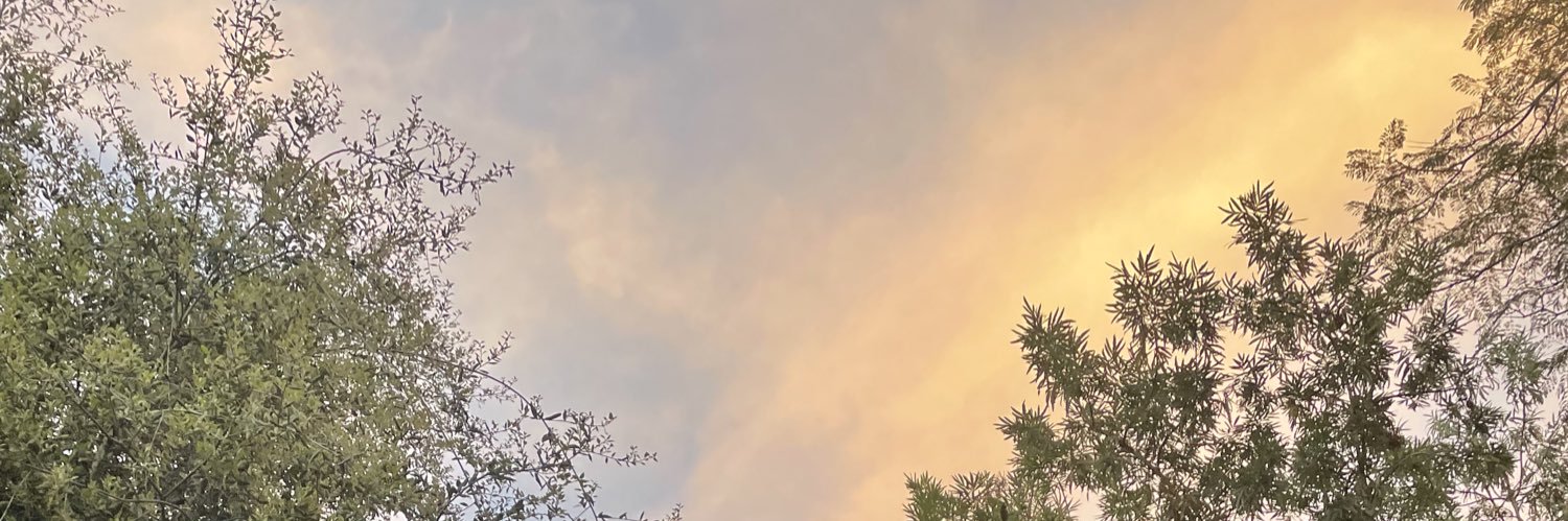 pei___wei's profile banner image