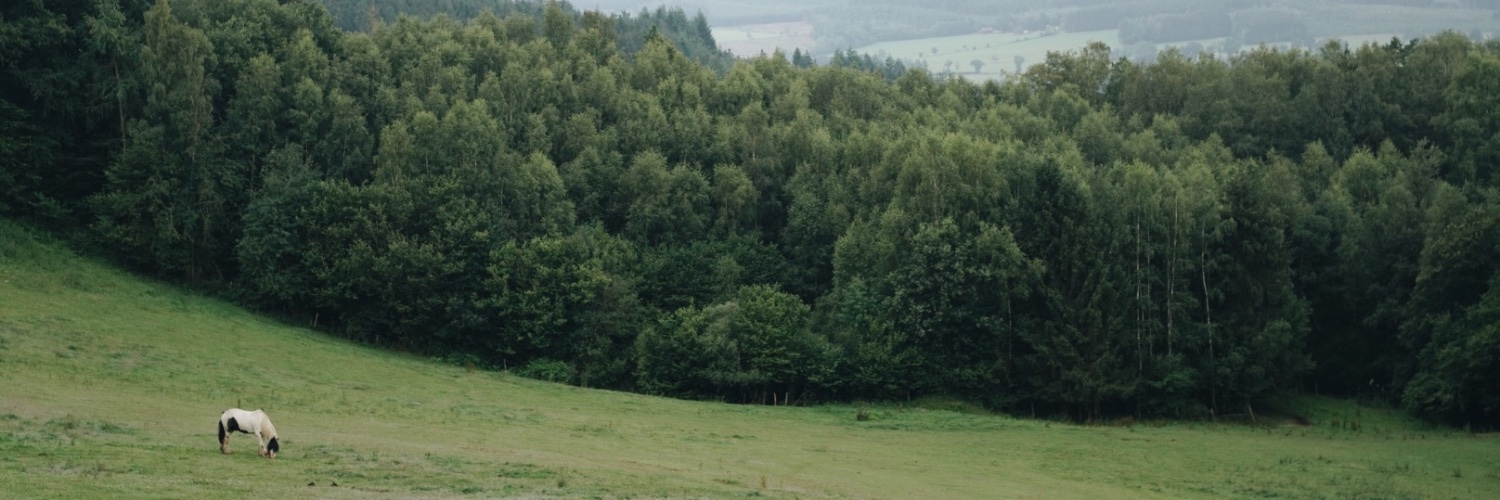 HomeMadeFantasy's profile banner image