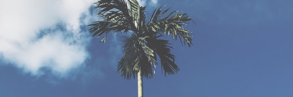 Bb_zed's profile banner image