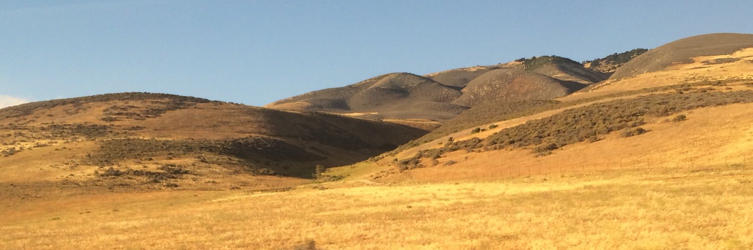 Bacon Aside... banner