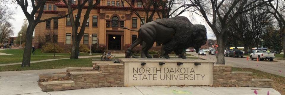 NDSUprssa's profile banner image