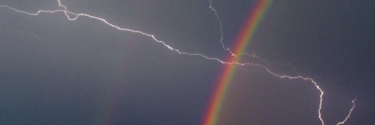 InclusiveKitten's profile banner image