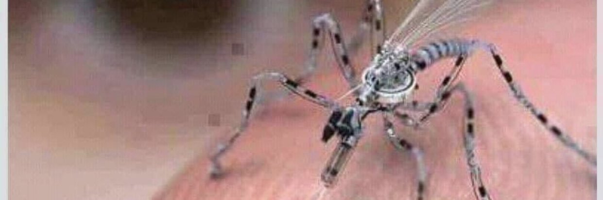 Arguing Truth banner