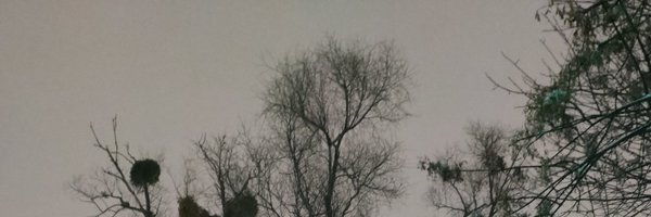 velosophy6 Profile Banner