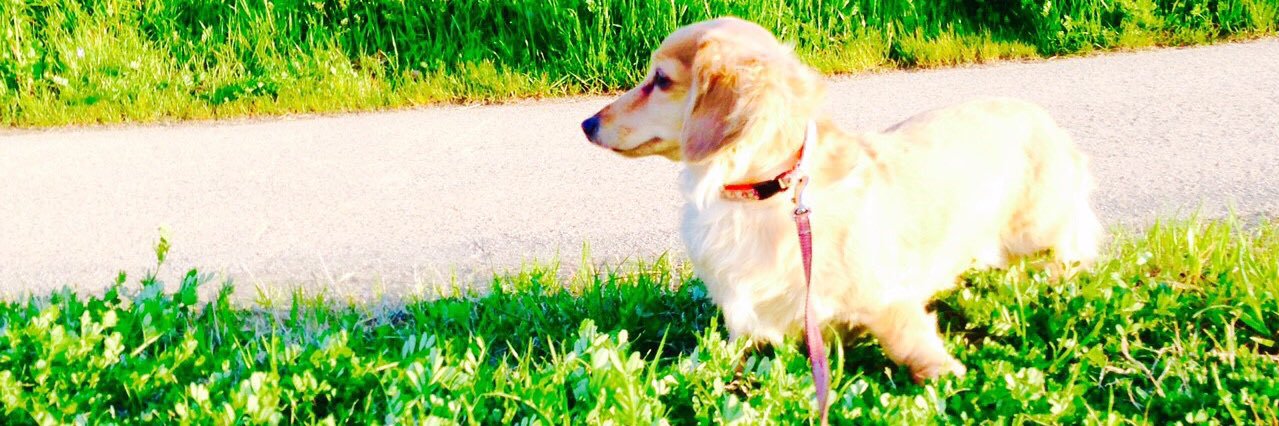 may5_21st's profile banner image