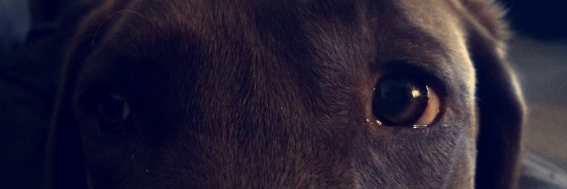 Josh_Colley's profile banner image