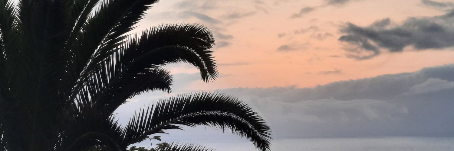 puddingofdoom2's profile banner image