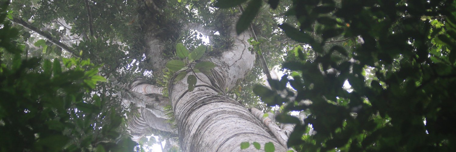 Envol Vert France banner