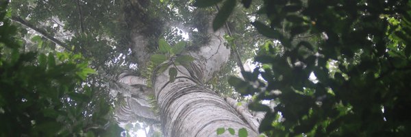 Envolvert Profile Banner