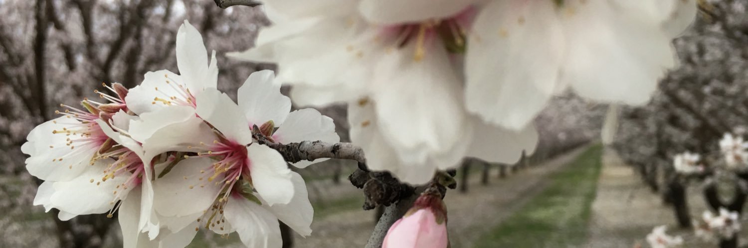 sylviaochoa's profile banner image