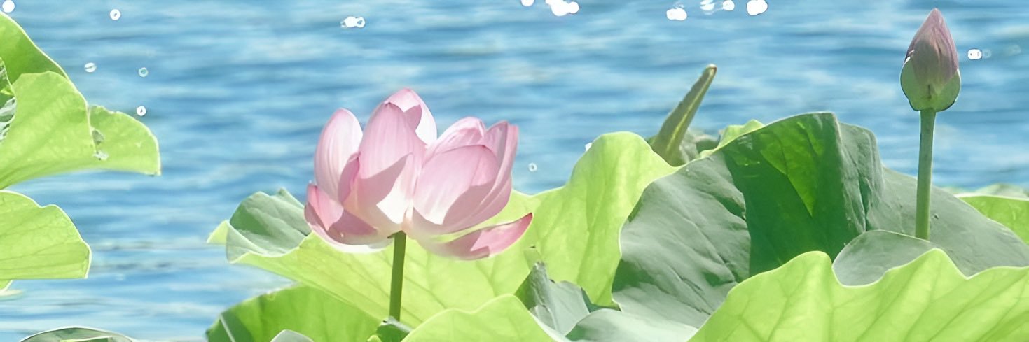 Jeonegian's profile banner image