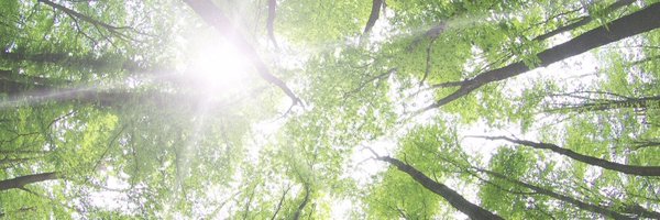 RobertGant Profile Banner