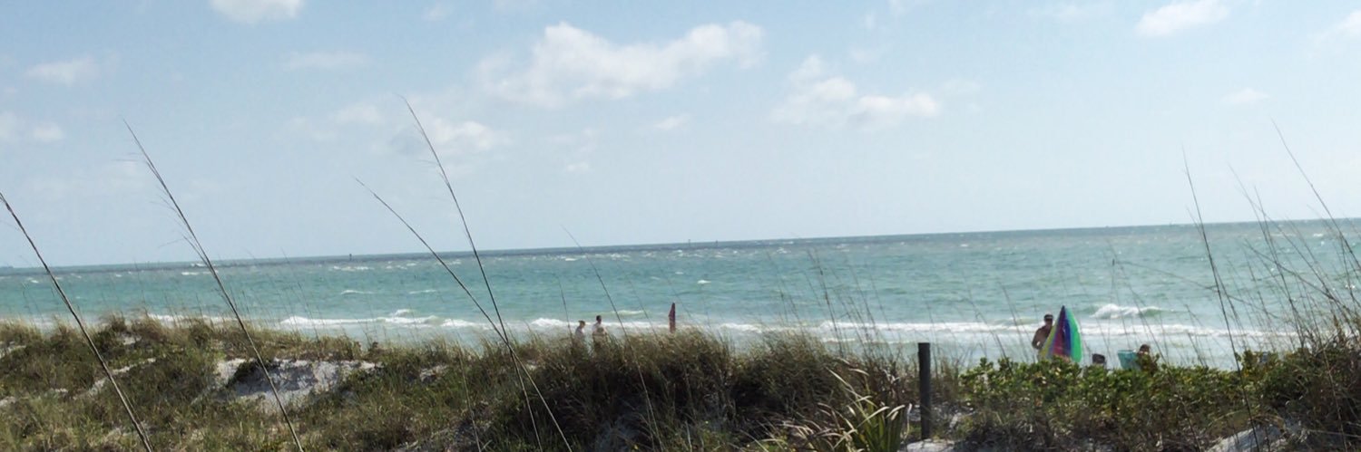 Ben the Merman banner