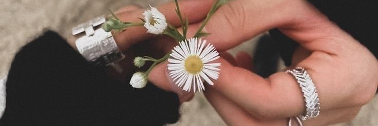 Rash 🐺✨*STAY* banner